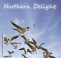 Northern Delight